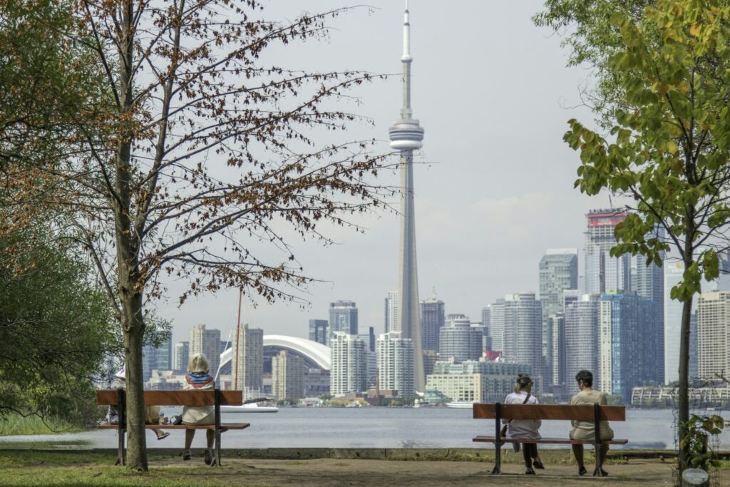 Custom Web Development for Businesses in Canada