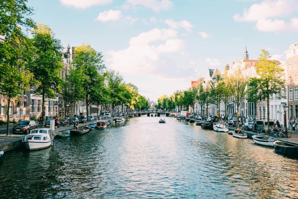 WordPress Website Design for Businesses in the Netherlands